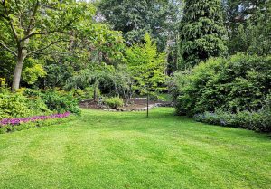 Optimiser l'expérience du jardin à Thorens-Glières